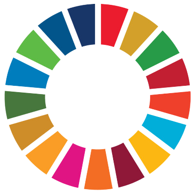 SDG wheel fn